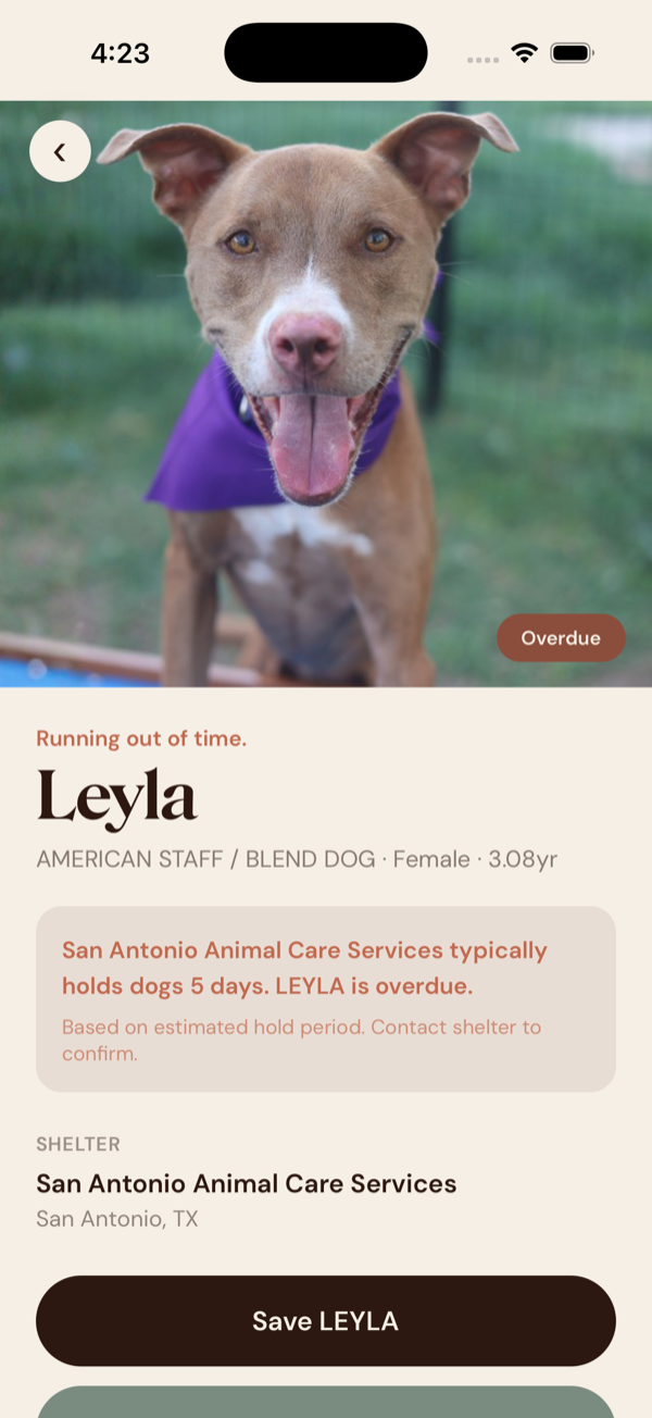 Dog profile